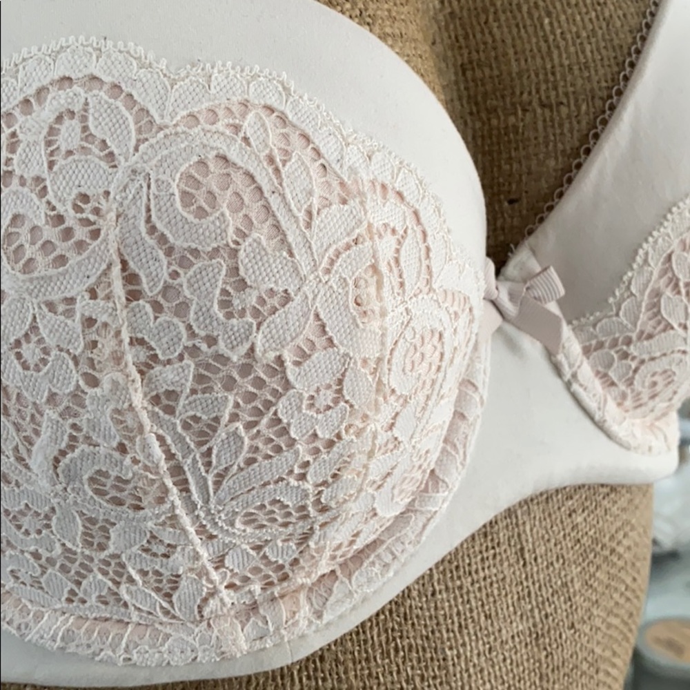 Lace vs bra - Picture 2 of 3
